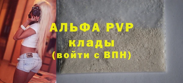 индика Новокубанск
