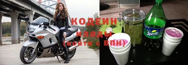 хмурый Касимов