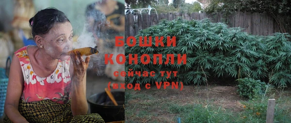 хмурый Касимов