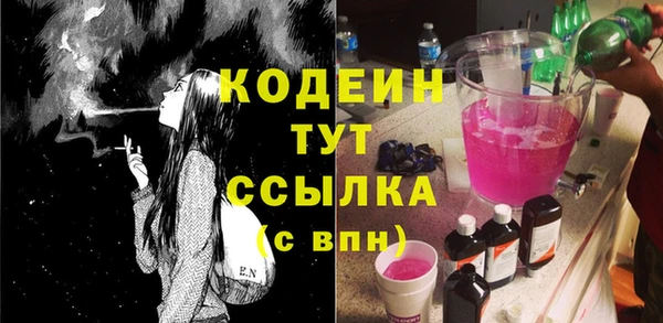хмурый Касимов