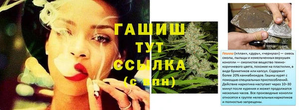 стаф Бородино