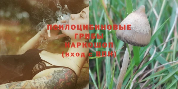 шишки Карпинск