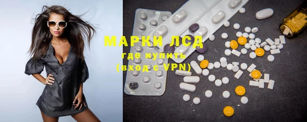 индика Новокубанск